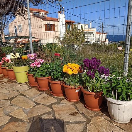 Apartament Airport Family House Artemida  Zewnętrze zdjęcie